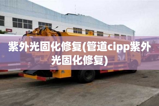 紫外光固化修复(管道cipp紫外光固化修复)
