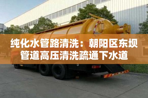 纯化水管路清洗：朝阳区东坝管道高压清洗疏通下水道
