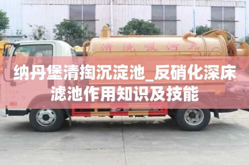 纳丹堡清掏沉淀池_反硝化深床滤池作用知识及技能