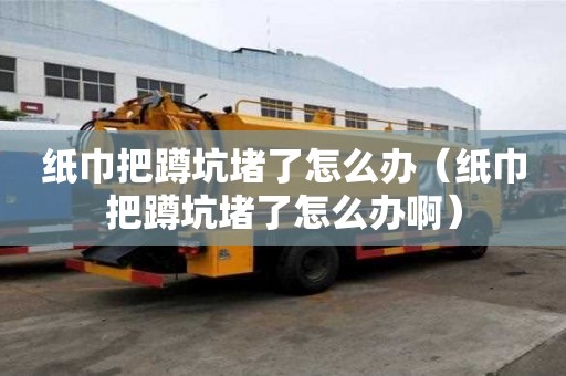 纸巾把蹲坑堵了怎么办（纸巾把蹲坑堵了怎么办啊）