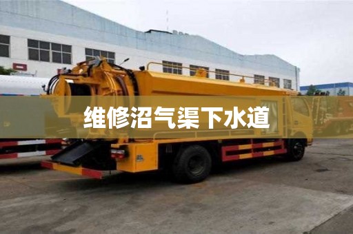 维修沼气渠下水道