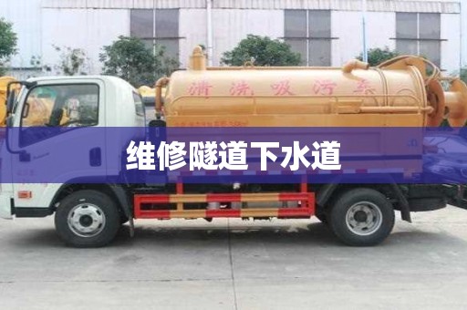 维修隧道下水道 维修隧道下水道