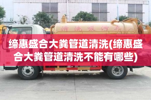 缔惠盛合大粪管道清洗(缔惠盛合大粪管道清洗不能有哪些)