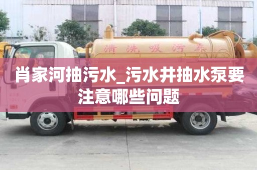 肖家河抽污水_污水井抽水泵要注意哪些问题
