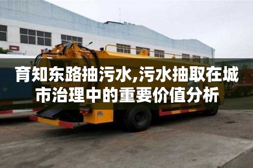 育知东路抽污水,污水抽取在城市治理中的重要价值分析