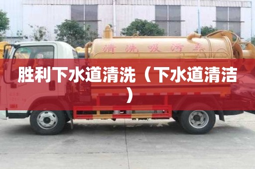 胜利下水道清洗（下水道清洁）