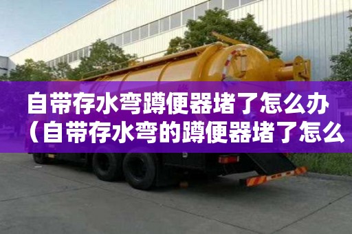 自带存水弯蹲便器堵了怎么办（自带存水弯的蹲便器堵了怎么办）