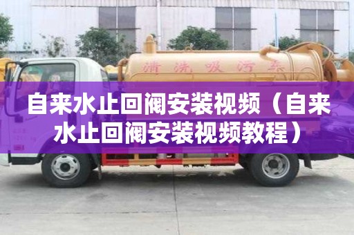 自来水止回阀安装视频（自来水止回阀安装视频教程）
