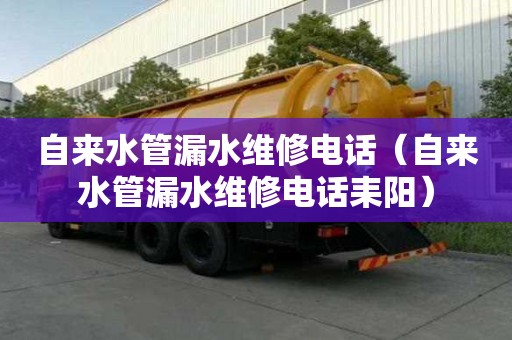 自来水管漏水维修电话（自来水管漏水维修电话耒阳）