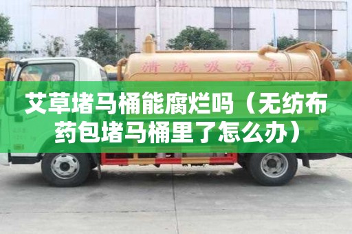 艾草堵马桶能腐烂吗（无纺布药包堵马桶里了怎么办）