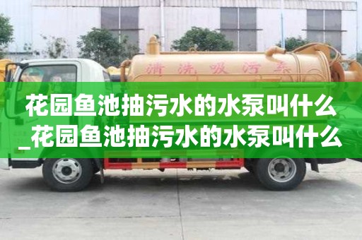 花园鱼池抽污水的水泵叫什么_花园鱼池抽污水的水泵叫什么名字