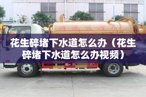 花生碎堵下水道怎么办(花生碎堵下水道怎么办视频) 花生碎堵下水道怎么办(花生碎堵下水道怎么办视频)