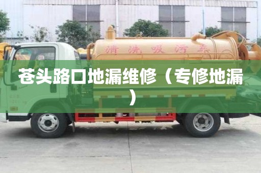 苍头路口地漏维修（专修地漏）
