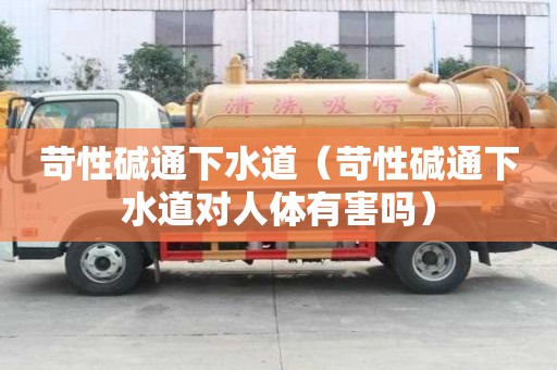 苛性碱通下水道（苛性碱通下水道对人体有害吗）