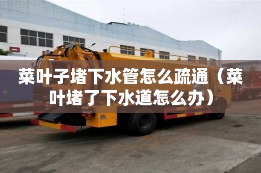 菜叶子堵下水管怎么疏通（菜叶堵了下水道怎么办）