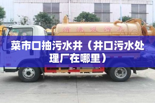 菜市口抽污水井（井口污水处理厂在哪里）