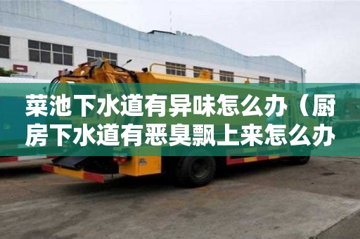 菜池下水道有异味怎么办（厨房下水道有恶臭飘上来怎么办）