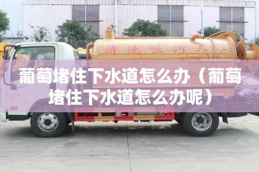 葡萄堵住下水道怎么办（葡萄堵住下水道怎么办呢）