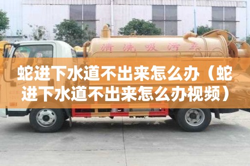 蛇进下水道不出来怎么办（蛇进下水道不出来怎么办视频）