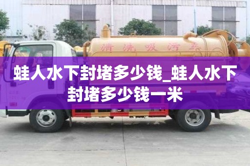 蛙人水下封堵多少钱_蛙人水下封堵多少钱一米