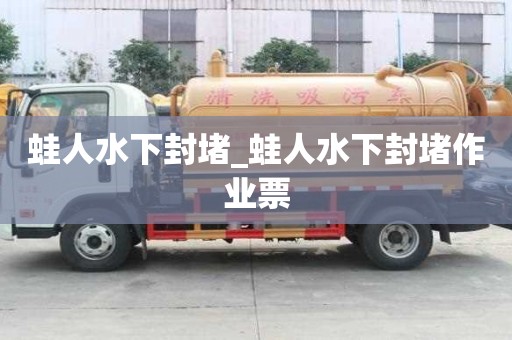蛙人水下封堵_蛙人水下封堵作业票