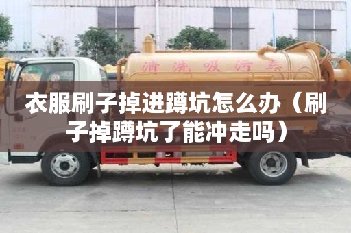 衣服刷子掉进蹲坑怎么办（刷子掉蹲坑了能冲走吗）