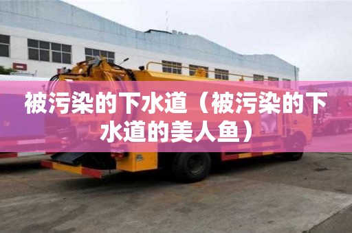 被污染的下水道(被污染的下水道的美人鱼) 被污染的下水道(被污染的下水道的美人鱼)
