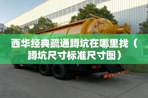 西华经典疏通蹲坑在哪里找（蹲坑尺寸标准尺寸图）