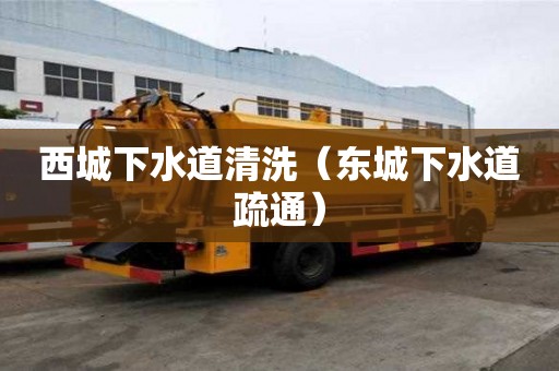 西城下水道清洗（东城下水道疏通）