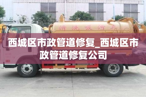 西城区市政管道修复_西城区市政管道修复公司