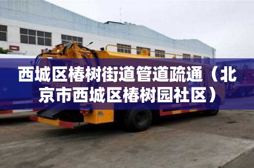 西城区椿树街道管道疏通（北京市西城区椿树园社区）