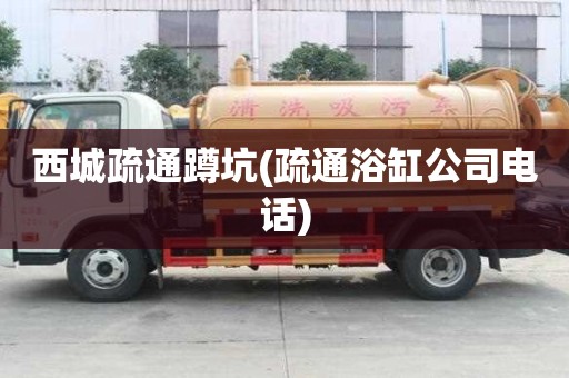 西城疏通蹲坑(疏通浴缸公司电话) 西城疏通蹲坑(疏通浴缸公司电话)