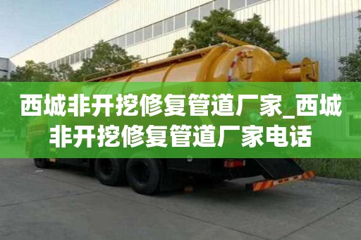 西城非开挖修复管道厂家_西城非开挖修复管道厂家电话