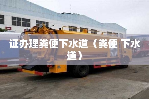 证办理粪便下水道（粪便 下水道）