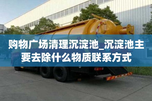 购物广场清理沉淀池_沉淀池主要去除什么物质联系方式