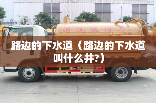 路边的下水道（路边的下水道叫什么井?）