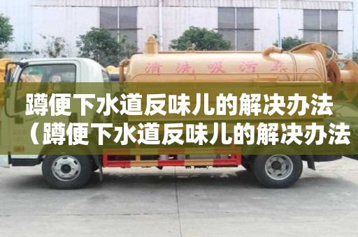 蹲便下水道反味儿的解决办法（蹲便下水道反味儿的解决办法视频）