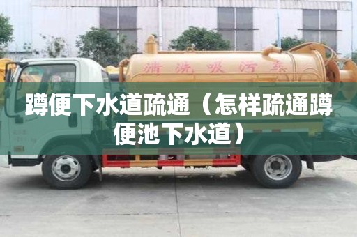 蹲便下水道疏通（怎样疏通蹲便池下水道）