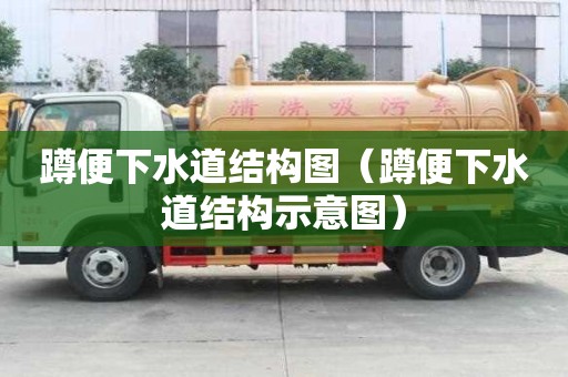 蹲便下水道结构图（蹲便下水道结构示意图）