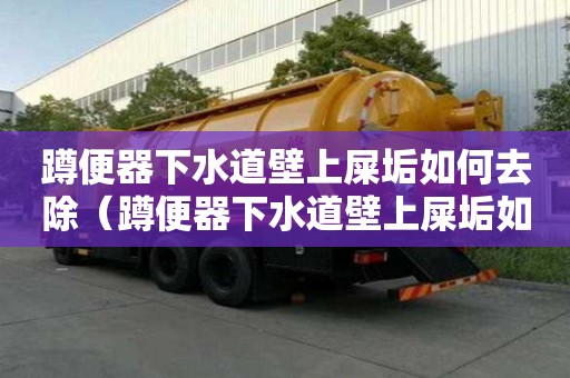 蹲便器下水道壁上屎垢如何去除（蹲便器下水道壁上屎垢如何去除尿碱）