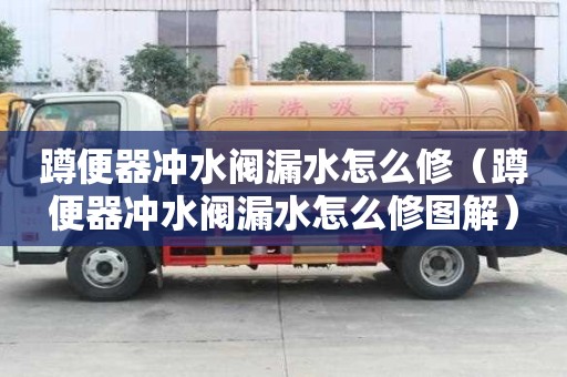 蹲便器冲水阀漏水怎么修（蹲便器冲水阀漏水怎么修图解）