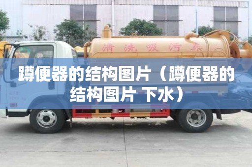 蹲便器的结构图片（蹲便器的结构图片 下水）