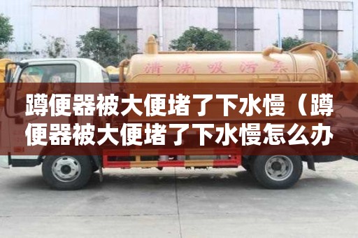 蹲便器被大便堵了下水慢（蹲便器被大便堵了下水慢怎么办）