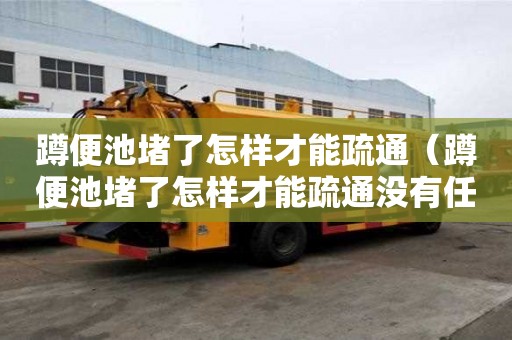 蹲便池堵了怎样才能疏通（蹲便池堵了怎样才能疏通没有任何工具）