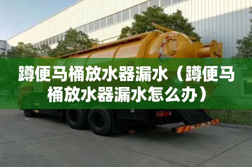 蹲便马桶放水器漏水（蹲便马桶放水器漏水怎么办）