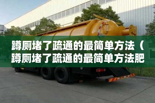 蹲厕堵了疏通的最简单方法（蹲厕堵了疏通的最简单方法肥西）