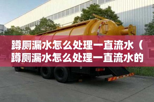 蹲厕漏水怎么处理一直流水（蹲厕漏水怎么处理一直流水的）