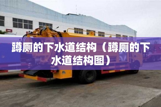 蹲厕的下水道结构（蹲厕的下水道结构图）