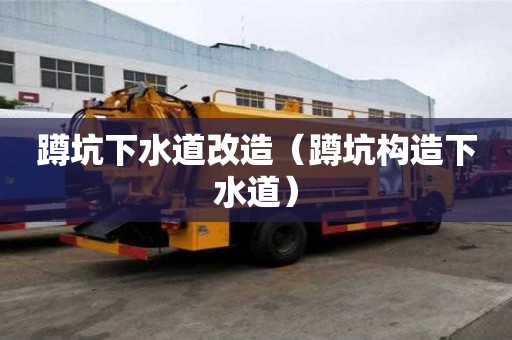 蹲坑下水道改造（蹲坑构造下水道）