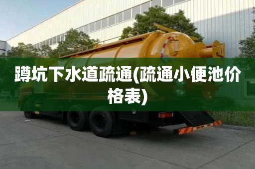 蹲坑下水道疏通(疏通小便池价格表) 蹲坑下水道疏通(疏通小便池价格表)